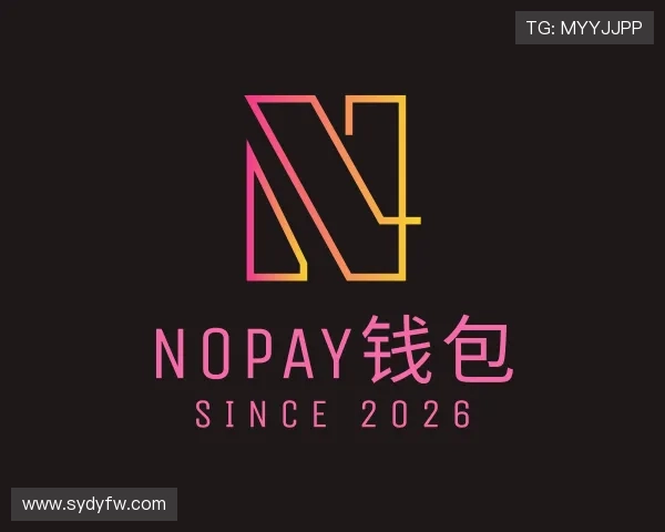 解读NOPAY钱包